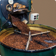 خط تولید قهوه